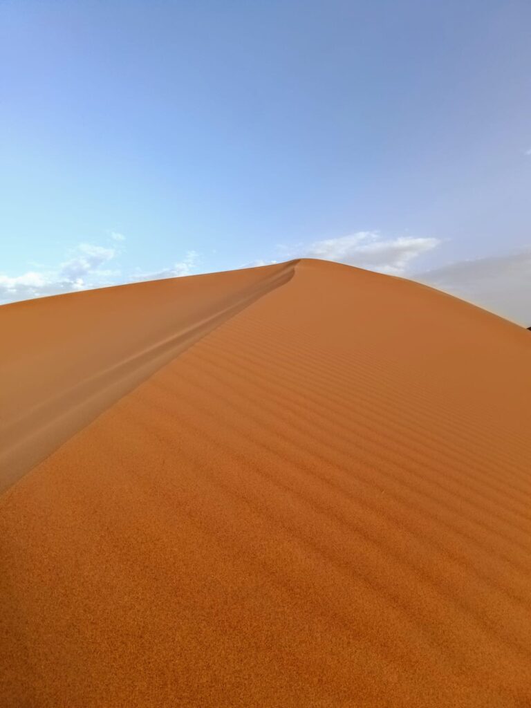 «Dunas»
