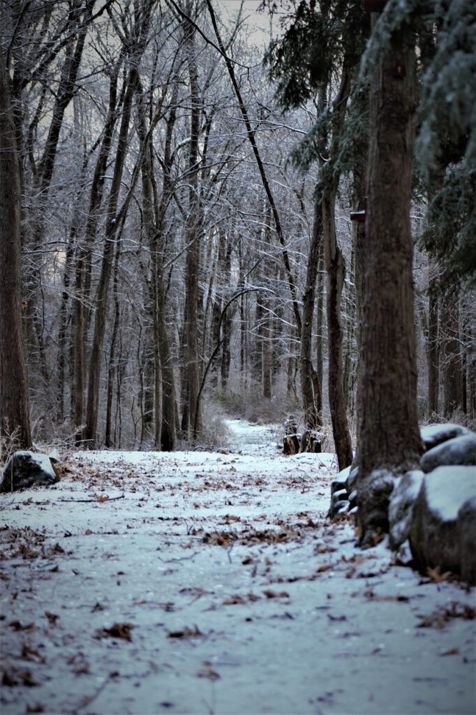 EL INVIERNO INTERIOR